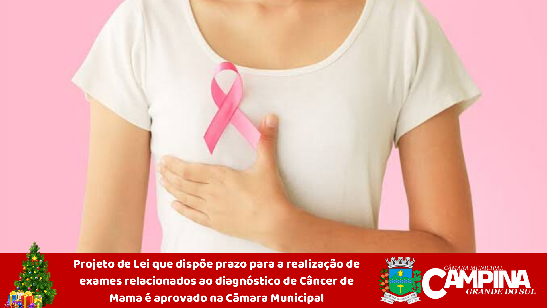 PROJETO DE LEI QUE DISPÕE PRAZO PARA A REALIZAÇÃO DE EXAMES RELACIONADOS AO DIAGNÓSTICO DE CÂNCER DE MAMA É APROVADO NA CÂMARA MUNICIPAL 